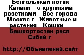 Бенгальский котик Килиан , с крупными розетками - Все города, Москва г. Животные и растения » Кошки   . Башкортостан респ.,Сибай г.